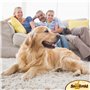 Snoofield Épilateur pour poils d'animaux, rouleau à peluches réutilisable pour l'épilation des poils de chien et de chat, attrap