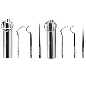 DCQQ Lot de 2 Cure Dent Metal kit Portable réutilisable porte-cure-dents en acier inoxydable Cure-Dents Nettoyage de Crochet de