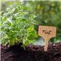 Etiquette Jardin Exterieur en Forme de T