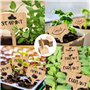Noafricz 40 Pièces Étiquettes de Plantes, Etiquette Jardin Exterieur en Forme de T, Étiquettes en Bois pour Plante, Pancarte pou