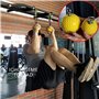 WINBST Cannonball Grips Entraînement Cannon Ball avec Poignet Ball Pull Up Gym Equipment Training Power Ball Poignée Force Train