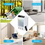 Climatiseur Mobile, 5 en 1 Climatiseur Portable Rafraichisseur D'air Silencieux avec Télécommande, 4 Vitesses, 2 Brumes, 2-12H T