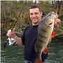 Tunejoy Grenouille Leurre de Pêche Souples Appâts de Pêche Grenouilles Topwater Frog Leurres 3D 5 PCS