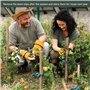 Jisrcha 60 Clips pour Plantes - Pinces À Plantes Grimpantes pour Tomates, Rosiers, Concombres et Autres Plantes Grimpantes, Très