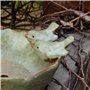 Bain pour Oiseaux Sauvages Bol d'alimentation pour Oiseaux Bassin d'oiseaux Rond en Fonte Balcon Terrasse Jardin Déco Maison de 