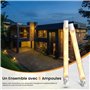 Bonlux Ampoule Halogène R7S 230W 118MM Dimmable Blanc Chaud 2800K, Ampoule Halogène Linéaire Crayon Type J Projecteur 118MM Tubu