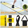 Druuzyl Set d'Entraînement Football Professionnel - 1 Échelle d'Agilité 6m + 12 Cônes + Accessoires pour Vitesse et Agilité