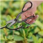 Sécateur Jardinage Ciseaux Bonsaï Outil de Jardin