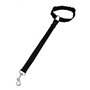 Ceinture Chien Vo