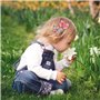 Hifot papillon Pince à Cheveux Bébé Fille 10 Pièces, enfants Barrettes Arcs Épingle à Cheveux, Accessoire Cheveux Bebe Fille