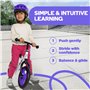 Bixe Vélo d'Équilibre en Aluminium pour Enfants - Draisienne 12 Pouces Velo sans Pedale Entraînement Sportif - Vélo Enfants de 1