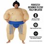 Tenue Sumo Déguisement