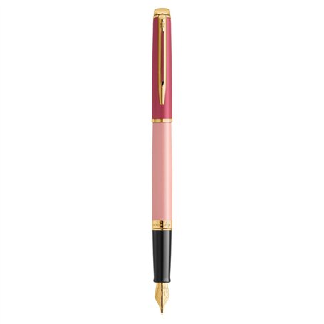Stylo Calligraphique Waterman 8129899