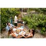 Campingaz Plancha Electric 2 XD, barbecue de table électrique, avec plaque en fonte et 2 zones de cuisson séparées, puissance 34