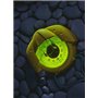 Plastimo Iris 50 Roulement et orientation boussole