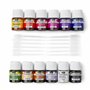 Pébéo - Colorex Boîte 12 Flacons 20 ml Assortis - Kit de Dessin Manga & Illustration Pébéo Colorex - L’Essentiel Colorex Encre A