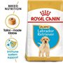 Royal Canin BHN Labrador Retrev Jr 3000 g