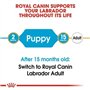 Royal Canin BHN Labrador Retrev Jr 3000 g