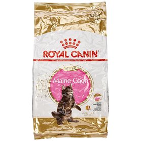Royal Canin - Croquettes pour chaton maine coon - 10 kg