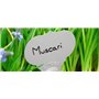 25 Étiquettes pour Plantes en Aluminium à planter - Forme Ogée 10x6cm, Alu