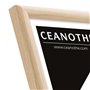 Ceanothe Cadre Photo 18x24 cm Bois Clair Naturel, pour Exposition et Idéal pour Petit Souvenir Décoration et A5, Collection Esse