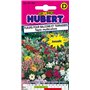 Graines de Fleurs Pour Balcons & Terrasses - Tapis Multicolore - 1