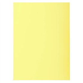 Exacompta - Réf. 850005E - Paquet de 250 sous-chemises SUPER 60 g/m2 aux couleurs pastel - sous chemises certifiées PEFC™ - dime