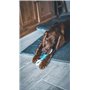 Vetocanis - Os pour Chien - Soin dentaire Anti-Tartre pour Moyen et Grand chien - Hygiène et Santé du Chien - Accessoire Chien e