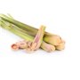 Graine Créative Parfum pour Bougies 27 ML - Senteur citronnelle