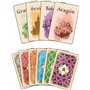 Asmodee Hans im Glück El Grande - Jeux de société - Jeux de Plateau - Jeux de stratégie à partir de 12 Ans - 2 à 5 Joueurs - Ver