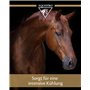 EQUISTRO® Pâte percutine | Produit de Soin pour Chevaux avec Argile, Arnica et Menthol | Normalise la répartition des liquides d
