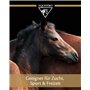 EQUISTRO® Pâte percutine | Produit de Soin pour Chevaux avec Argile, Arnica et Menthol | Normalise la répartition des liquides d