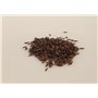 500 graines à semer - Le Grenier d'Abondance - LAITUE A COUPER Feuille de Chêne Blonde - Lactuca sativa