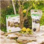 Purin d'Ortie - TERRA NOSTRA - Concentré - 1,5 L