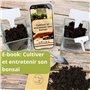 Cultivea® Lot de 32 Outils Complet bonsaï – Outil en Acier - Jardinez - Cisailles à bonsaï pour Entretien de Vos bonsaïs et Plan