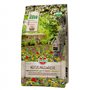 SPERLI 's Utilitaires – Mélange de graines de prairie fleurie – Mélange de graines de fleurs