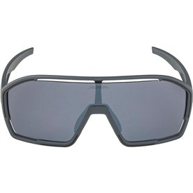 Lunettes de soleil Homme Alpina A8687321
