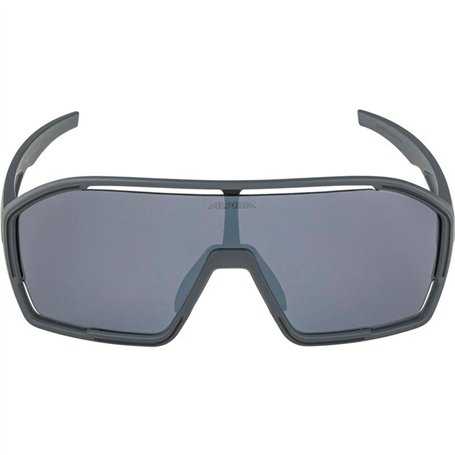 Lunettes de soleil Homme Alpina A8687321