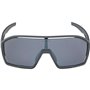 Lunettes de soleil Homme Alpina A8687321