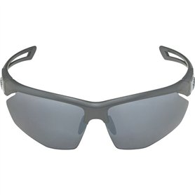 Lunettes de soleil Homme Alpina A8635332