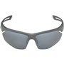 Lunettes de soleil Homme Alpina A8635332