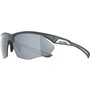 Lunettes de soleil Homme Alpina A8635332