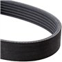 Continental Contitech 6PK1244 Courroie trapézoïdale à nervures
