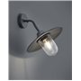 Trio Leuchten Brenta 201760142 Applique murale extérieure en aluminium moulé sous pression Anthracite Verre transparent