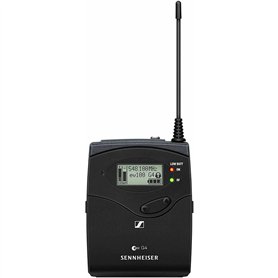 Microphone Sennheiser S509509