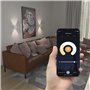Hama Applique Murale LED Connectée (Éclairage mural WiFi Design Up-and-Down, pour Intérieur et Exterieur IP44, Commande vocale v