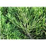 SAFLAX - Genévrier de Chine - 30 graines - Avec substrat - Juniperus chinensis