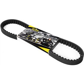 Area1 Courroie trapézoïdale de rechange 811x18.5 pour 50ccm 2 temps. compatible avec NRG Power TPH Zip Free Liberty Diesis