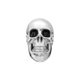 Diesel DX1580040 Boucles d'oreilles en acier inoxydable argenté pour homme