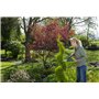 Gardena Taille-haie Precisioncut